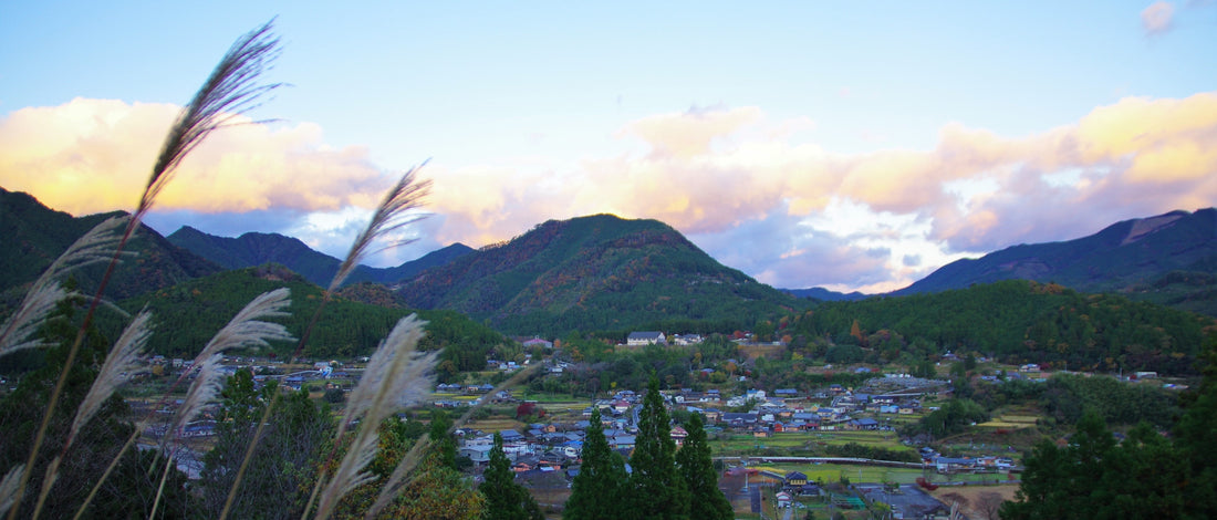 Walking the Japanese Trail: The Nakahechi Imperial Route of The Kumano Kodō (Part 2)