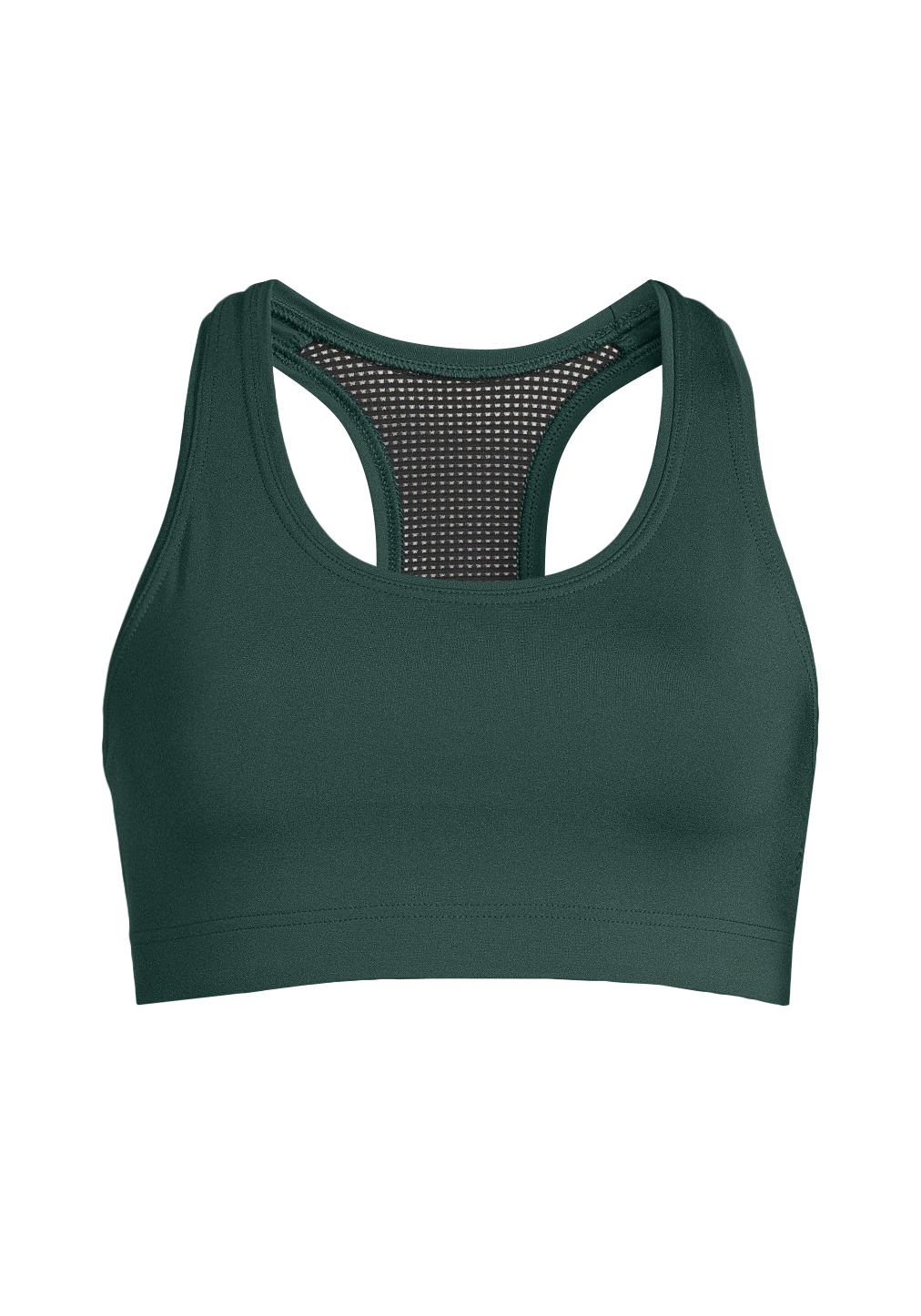 Iconic Sports Bra - Dark Pine